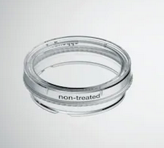 德國艾本德(Eppendorf)Cell Culture Dishes, 35 mm, 無菌、無熱原，無 RNase和DNase，無人類和細(xì)菌DNA。無細(xì)胞毒素, 未處理, 3.0mL, 300個