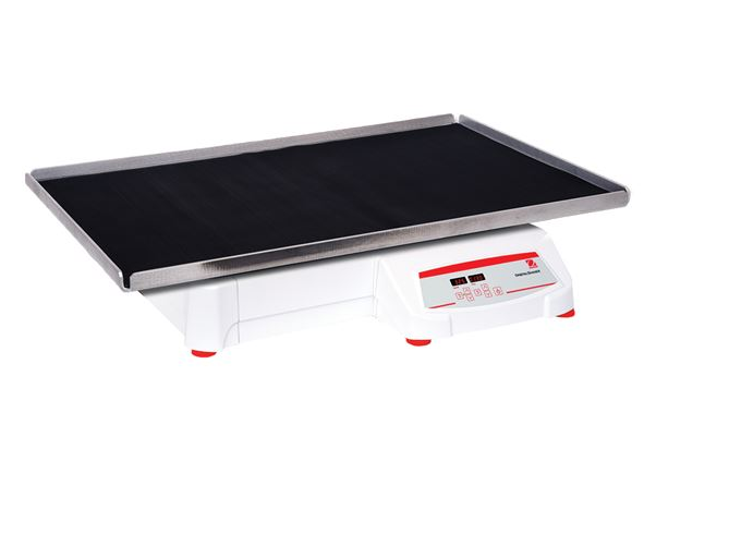 美國(guó)奧豪斯，OHAUS，脫色搖床，回旋振蕩器，圓周振蕩器，大負(fù)載圓周式搖床，SHHD6825DG