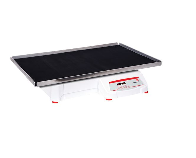 美國(guó)奧豪斯，OHAUS，脫色搖床，回旋振蕩器，圓周振蕩器，大負(fù)載圓周式搖床，SHHD6850DG